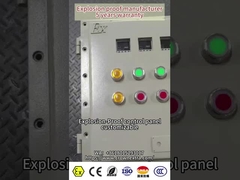 ATEX CNEX Certified Ex Flameproof Control Panel Для опасных промышленных судов