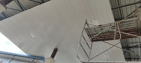 50-60 Гц номинальное напряжение взрывостойкое светодиодное светодиодное светодиодное светодиодное светодиодное светодиодное светодиодное светодиодное светодиодное светодиодное светодиодное светодиодное светодиодное светодиодное светодиодное светодиодное светодиодное светодиодное светодиодное светодиодное светодиодное светодиодное светодиодное светодиодное светодиодное светодиодное светодиодное светодиодное светодиодное светодиодное светодиодное светодиодное светодиодное светодиодное светодиодное