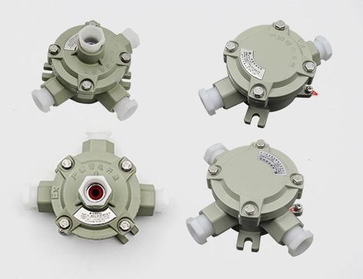 IP66 Explosion Proof Switch 2 Number Of Poles Suitable for Industrial Applications Requiring Hazardous Area Protection