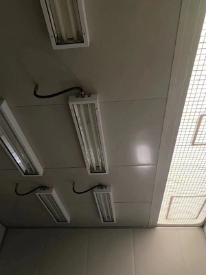 Высокий лумен трубки свет Противовзрывная люминесцентная лампа 100lm/w индивидуальная цветовая температура 5 лет Гарантия Atex