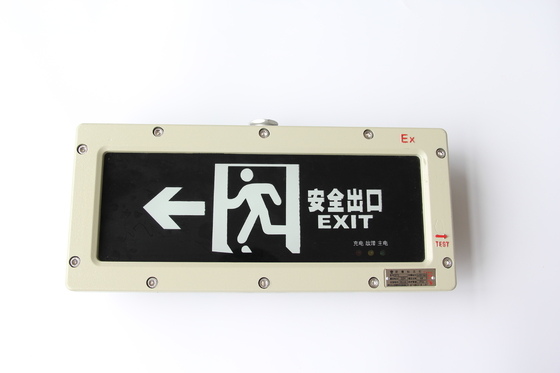ExdeIICT6 Gb/Ex TD A21 IP66 T80C Взрывостойкие аварийные фонари для суровых условий