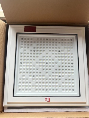 ATEX 18 * 18 дюймов квадратной формы взрывобезопасный свет 100w 130lm / w бензоколонка свет с пятилетней гарантией