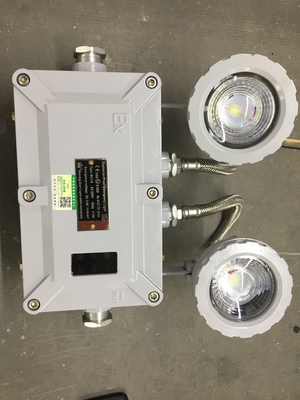 Потолочный ATEX огнестойкий взрывостойкий аварийный свет с батареей Ni-Cd и отражающим линзом