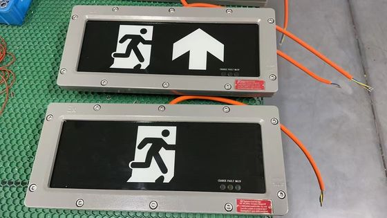 Необслуживаемый взрывозащищенный аварийный светильник ATEX Zone21 Zone22 Эффективный Искробезопасный для горючих материалов