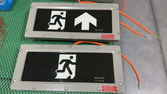 OEM взрывостойкий светодиодный выходный свет 24VDC/36VDC/AC.