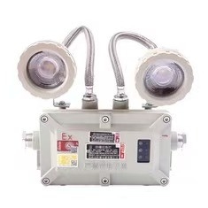 Взрывозащитный экстренный свет 2*3 Вт LED 220ВАК 24/36ВДC для зоны 1 2
