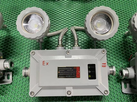 Аварийный огнеупорный свет из алюминиевого сплава 2x3W