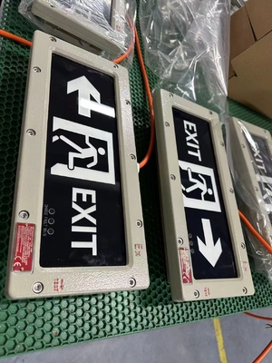 OEM взрывостойкий светодиодный выходный свет 24VDC/36VDC/AC.