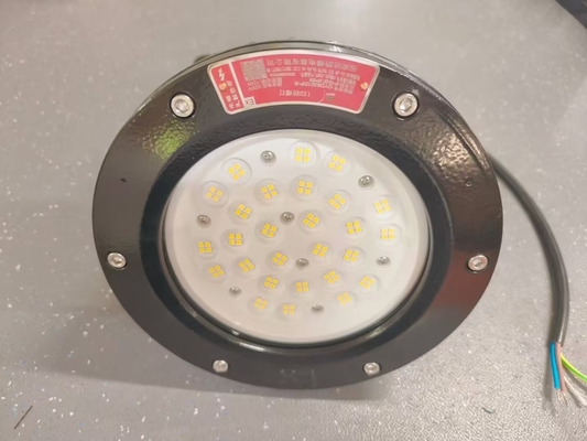 ATEX IECEx сертифицированный 100W-240W взрывозащищенный светодиодный высокозащищенный свет IP66
