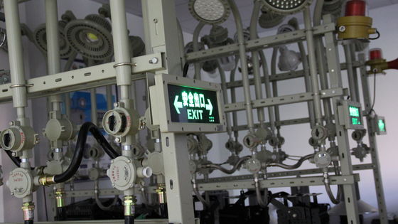 ATEX IP66 водонепроницаемость взрывозащищенный светодиодный экстренный выходной свет потолок монтированный 3W 90-минутный экстренный