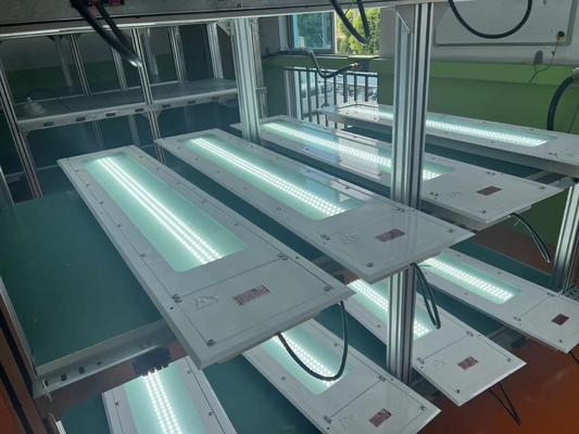 0.6M 1.2M 100LM/W Линейный светодиодный взрывостойкий 36w Промышленная лампа безопасный T6 светодиодный стальной взрывостойкий линейный свет