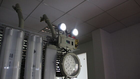 Аварийный пожарный BCJ IP66 взрывозащищенное освещение Двойной светодиодный аварийный свет 180 мин