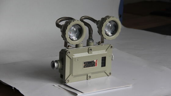 ATEX×CNEX 220 В переменного тока 50 Гц CCT 4500-6500K Настраиваемое взрывозащищенное аварийное освещение